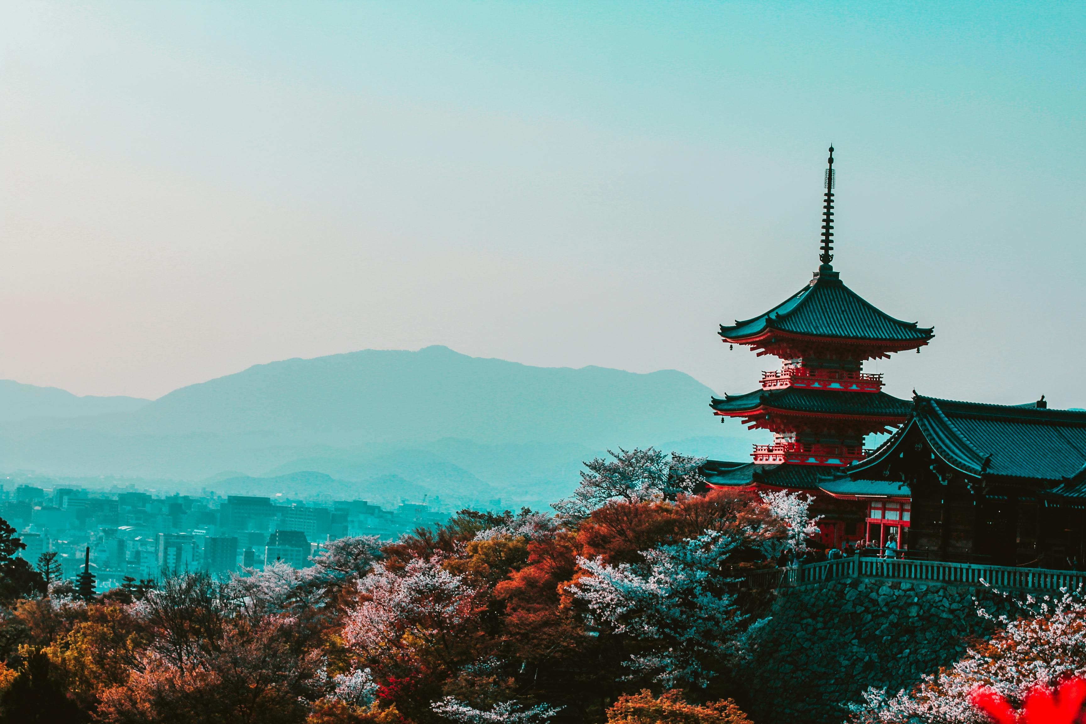 Mount Fuji with cherry blossoms